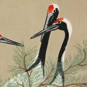 MAURIS PLACERAT - Image 2