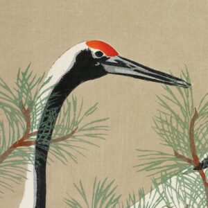 MAURIS PLACERAT - Image 3