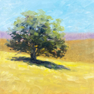Hill Tree