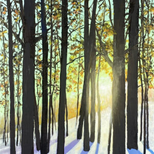 Winter Hill Sun